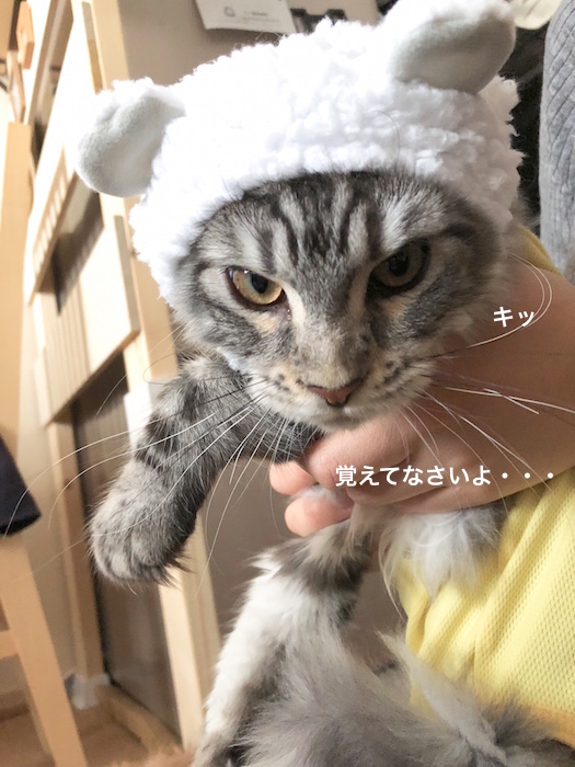 f:id:chikojirou:20180217215520j:plain