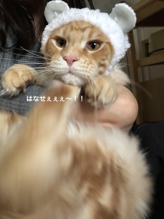 f:id:chikojirou:20180217215600j:plain