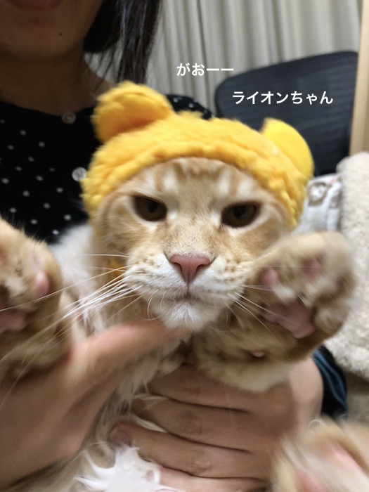 f:id:chikojirou:20180217215625j:plain
