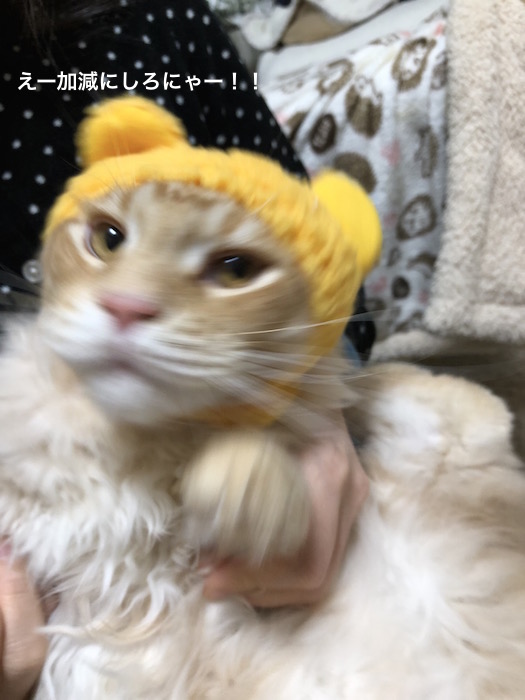 f:id:chikojirou:20180217215645j:plain