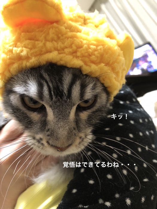 f:id:chikojirou:20180217215704j:plain