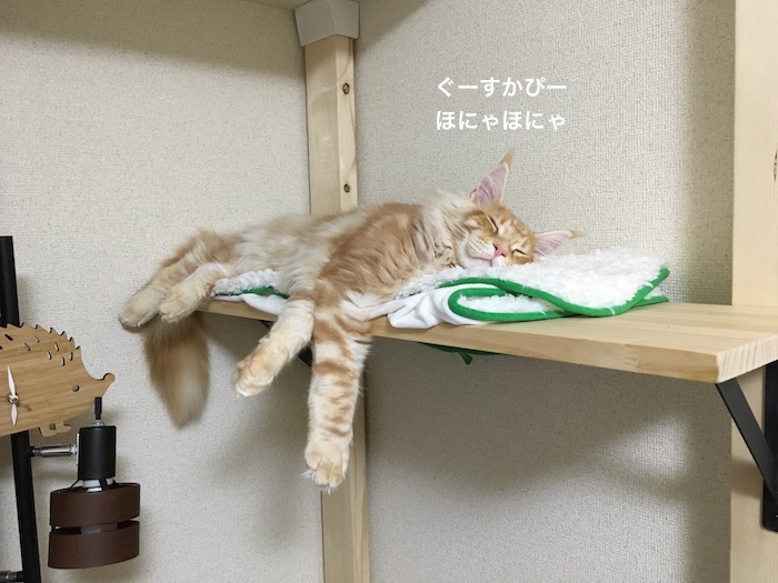 f:id:chikojirou:20180217215739j:plain