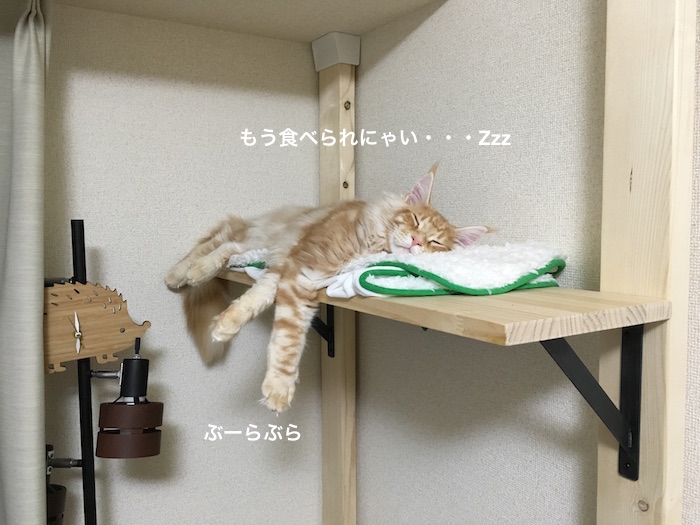 f:id:chikojirou:20180217215803j:plain