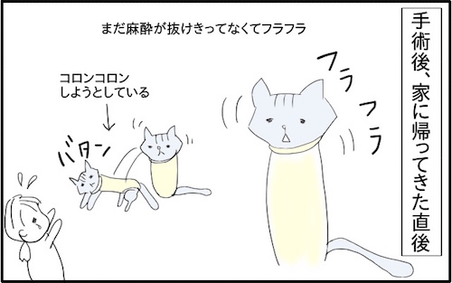f:id:chikojirou:20180217215820j:plain