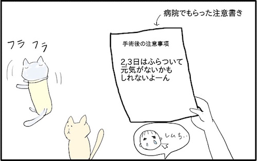 f:id:chikojirou:20180217215836j:plain
