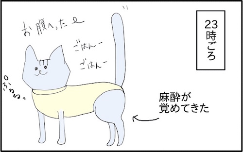 f:id:chikojirou:20180217215856j:plain