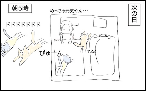 f:id:chikojirou:20180217215911j:plain