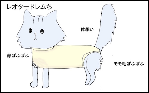 f:id:chikojirou:20180217215946j:plain