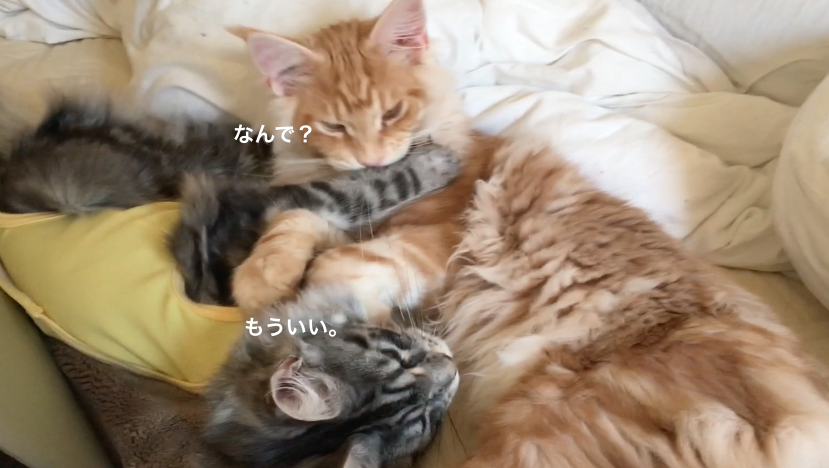 f:id:chikojirou:20180218211101p:plain