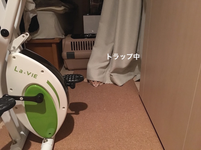 f:id:chikojirou:20180218211438j:plain