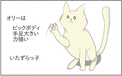 f:id:chikojirou:20180218211503j:plain