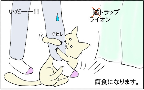 f:id:chikojirou:20180218211544j:plain