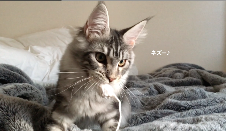 f:id:chikojirou:20180219215029p:plain
