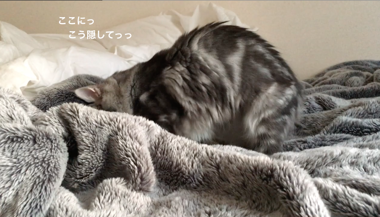 f:id:chikojirou:20180219215057p:plain
