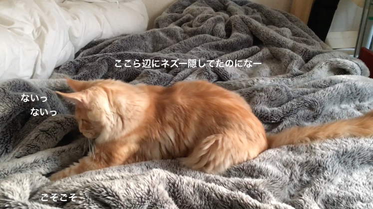 f:id:chikojirou:20180219215342p:plain