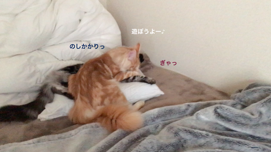 f:id:chikojirou:20180311161442p:plain f:id:chikojirou:20180311161442p:plain