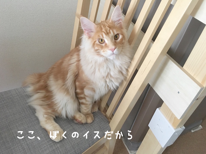 f:id:chikojirou:20180319214751j:plain