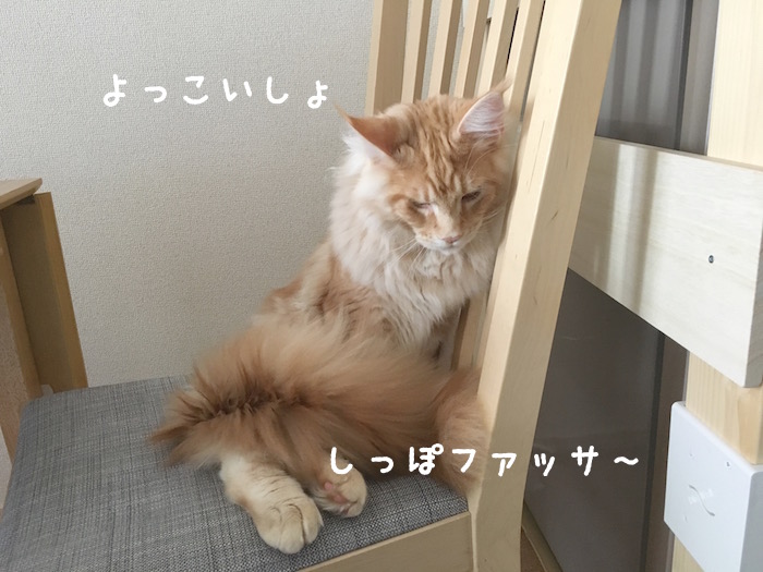 f:id:chikojirou:20180319214812j:plain