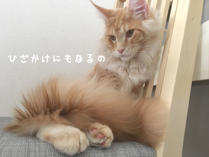 f:id:chikojirou:20180319214900j:plain