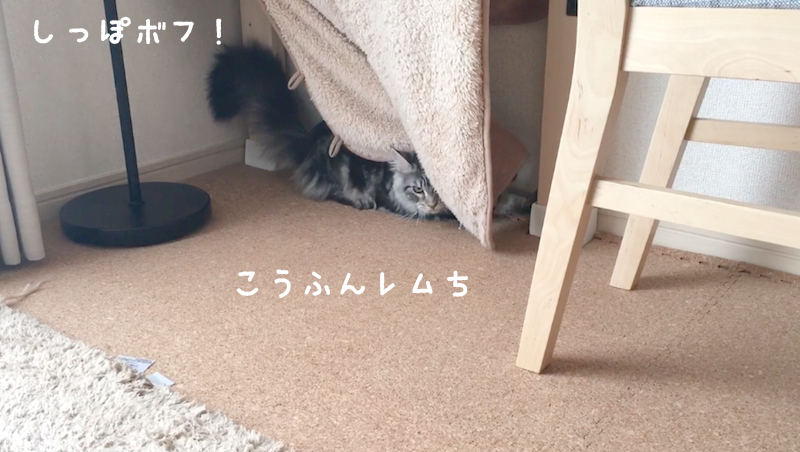 f:id:chikojirou:20180319215259p:plain