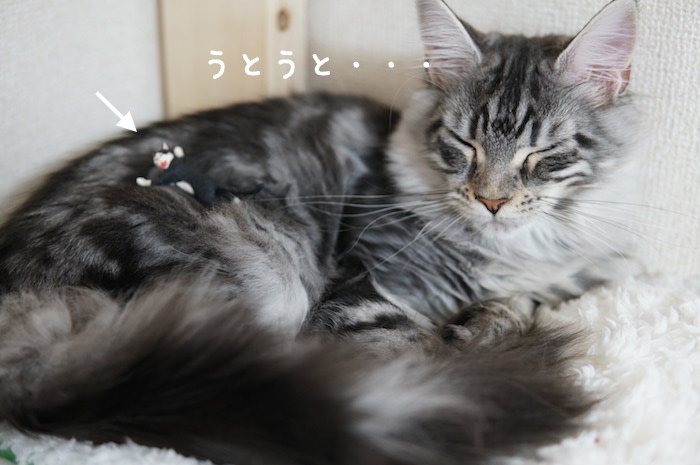 f:id:chikojirou:20180321171040j:plain