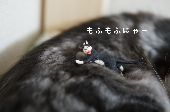 f:id:chikojirou:20180321171051j:plain
