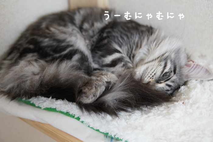 f:id:chikojirou:20180321171106j:plain