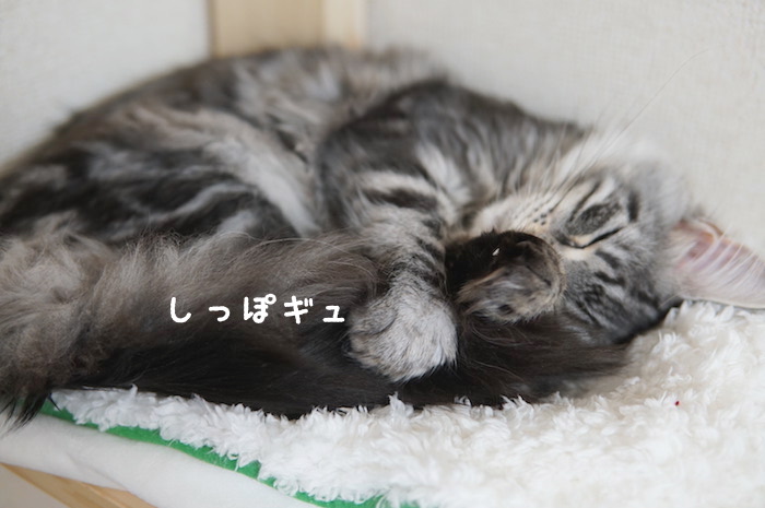 f:id:chikojirou:20180321171121j:plain