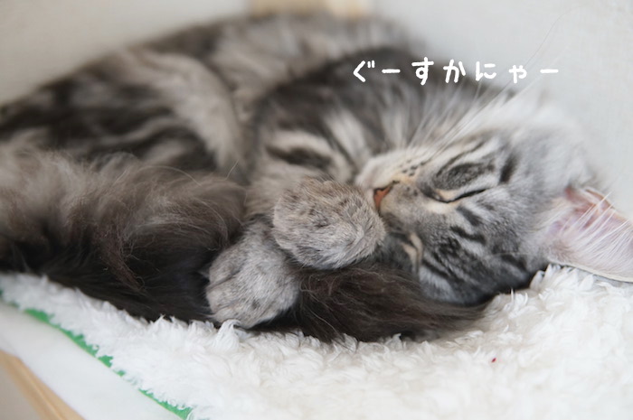f:id:chikojirou:20180321171136j:plain