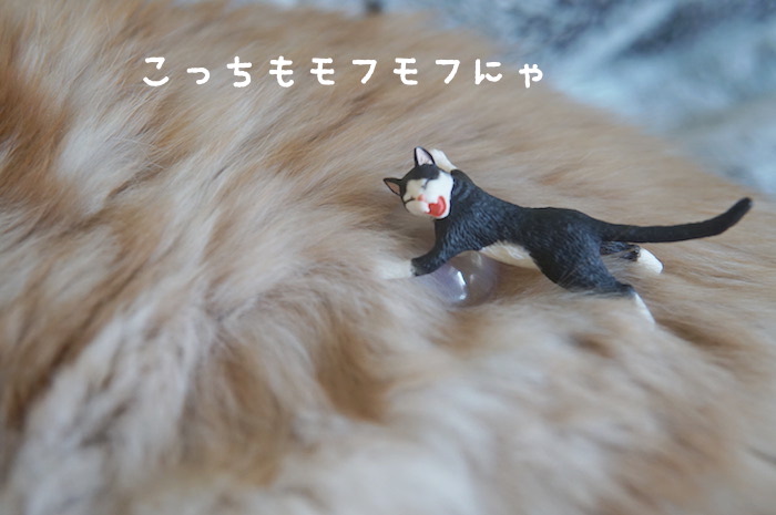 f:id:chikojirou:20180321171531j:plain