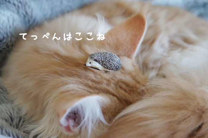 f:id:chikojirou:20180321171545j:plain