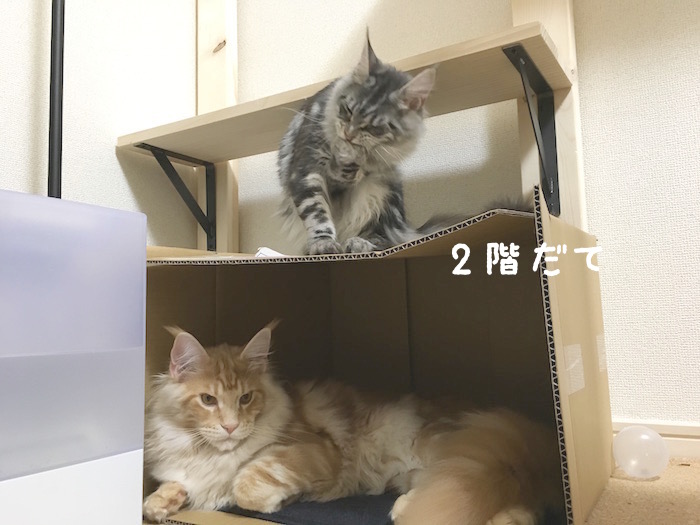 f:id:chikojirou:20180321171700j:plain