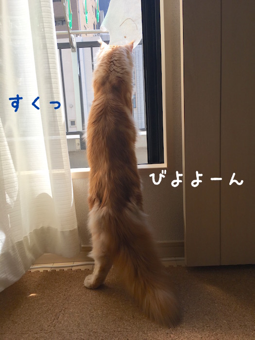 f:id:chikojirou:20180327214846j:plain