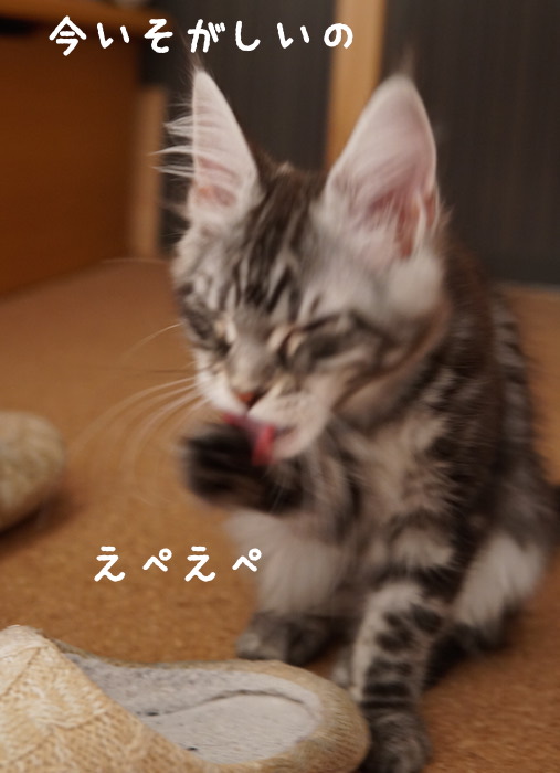 f:id:chikojirou:20180327214935j:plain