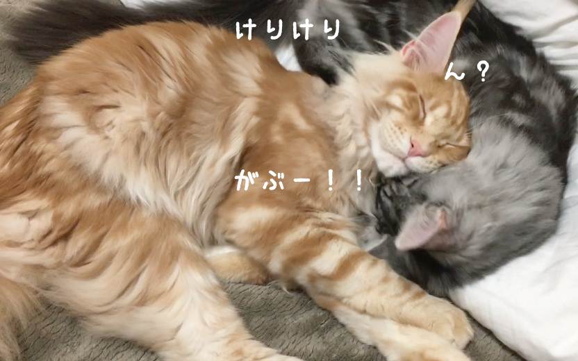 f:id:chikojirou:20180328215542p:plain