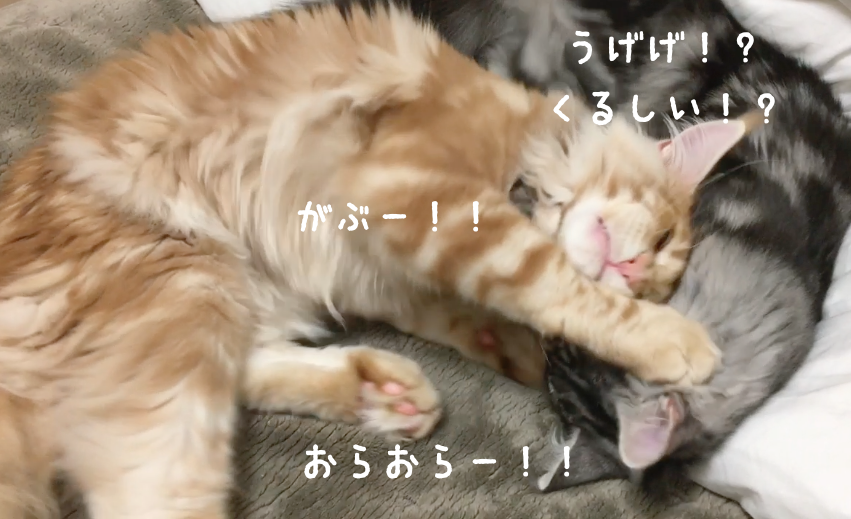 f:id:chikojirou:20180328215558p:plain