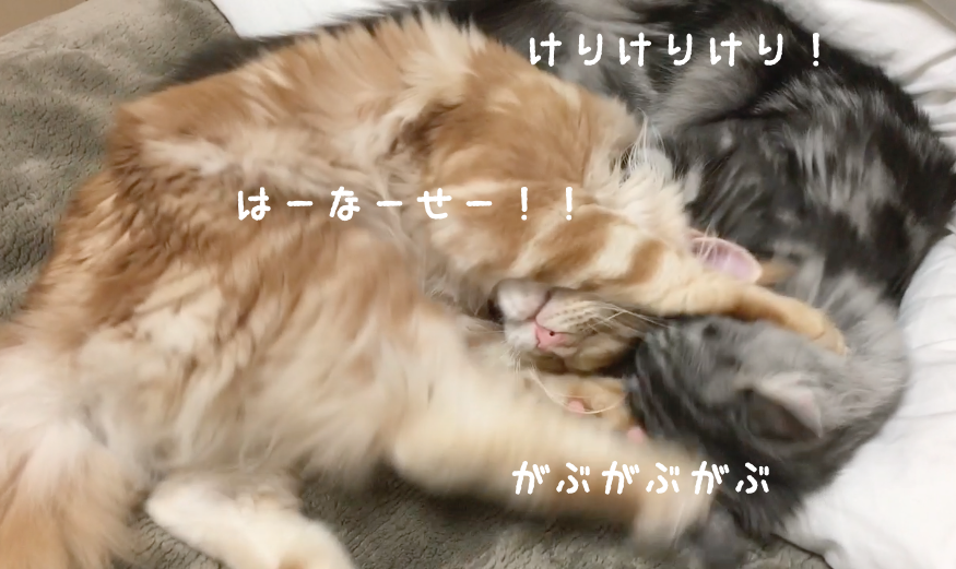 f:id:chikojirou:20180328215614p:plain
