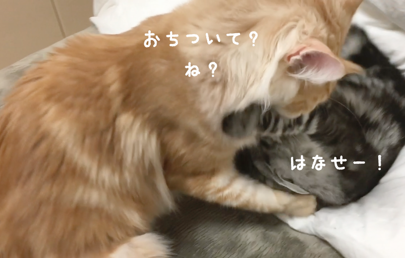 f:id:chikojirou:20180328215631p:plain