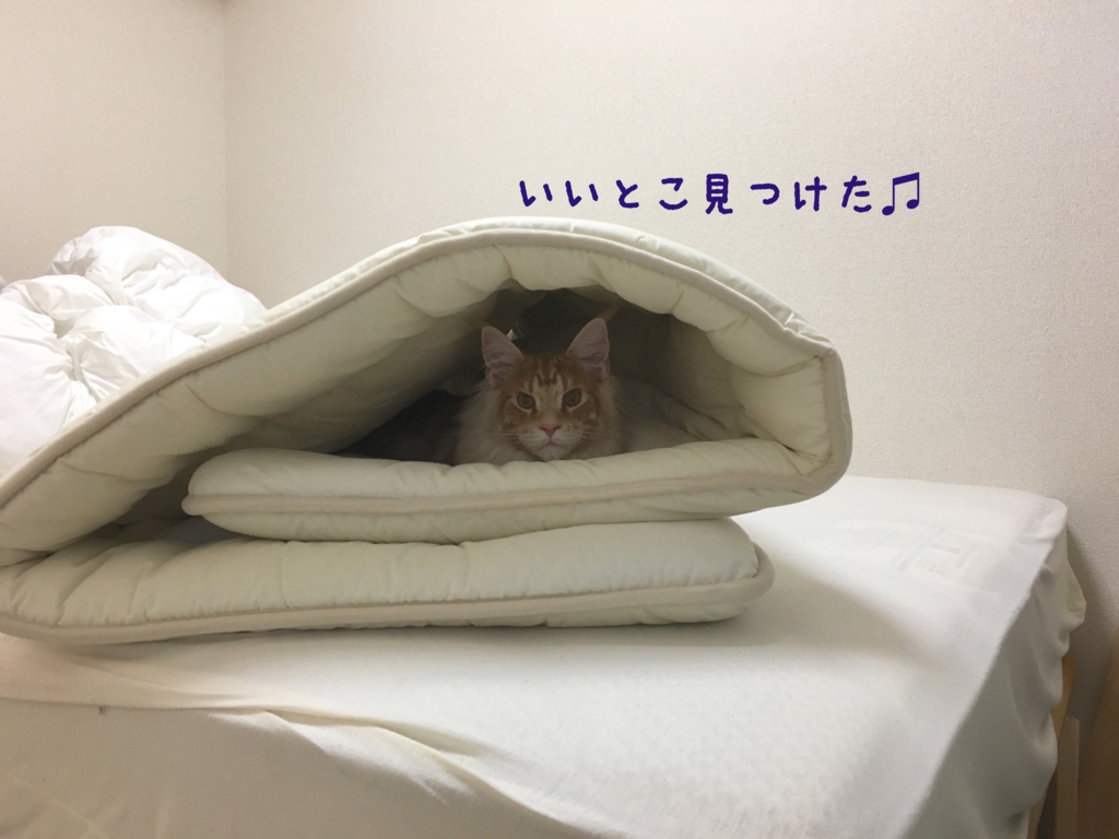 f:id:chikojirou:20180408220300j:plain