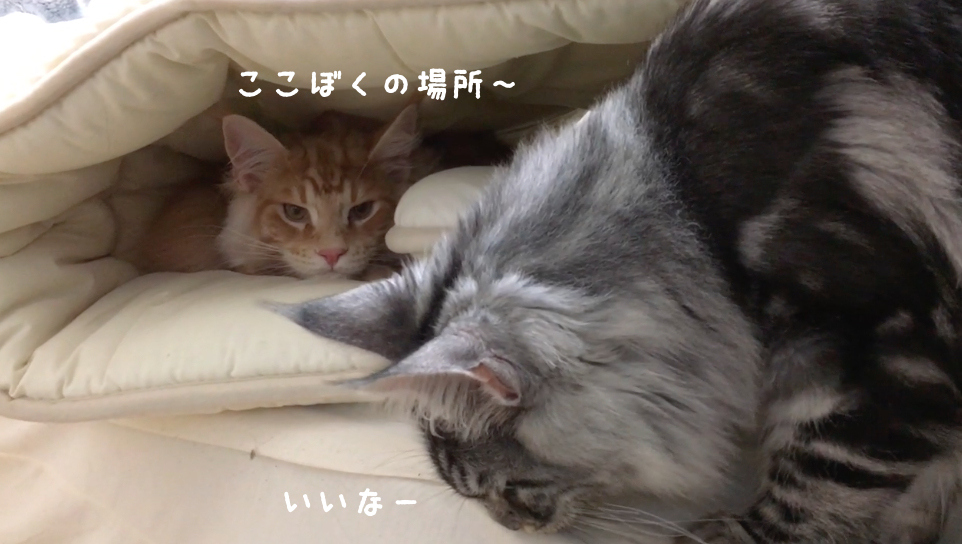 f:id:chikojirou:20180408220327p:plain