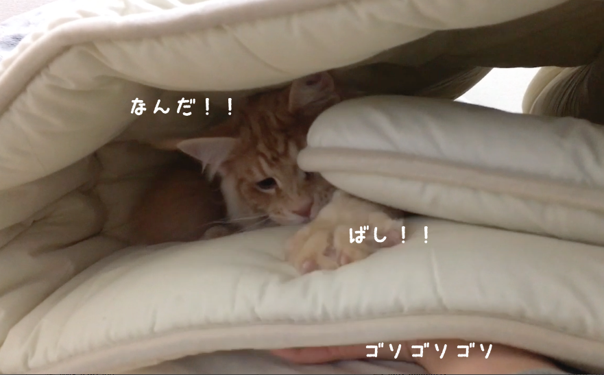 f:id:chikojirou:20180408220345p:plain