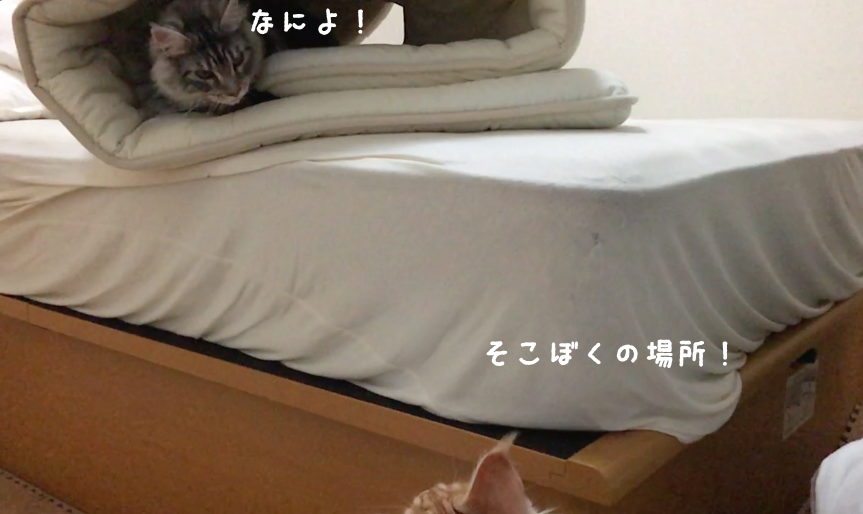 f:id:chikojirou:20180408220714p:plain