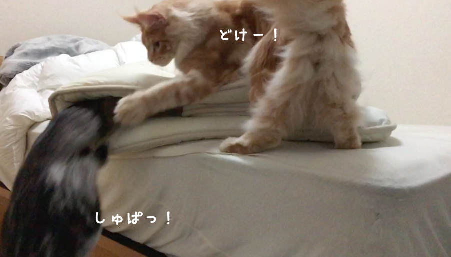 f:id:chikojirou:20180408220750p:plain