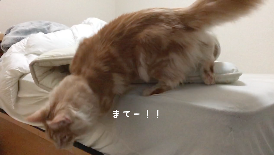 f:id:chikojirou:20180408220824p:plain