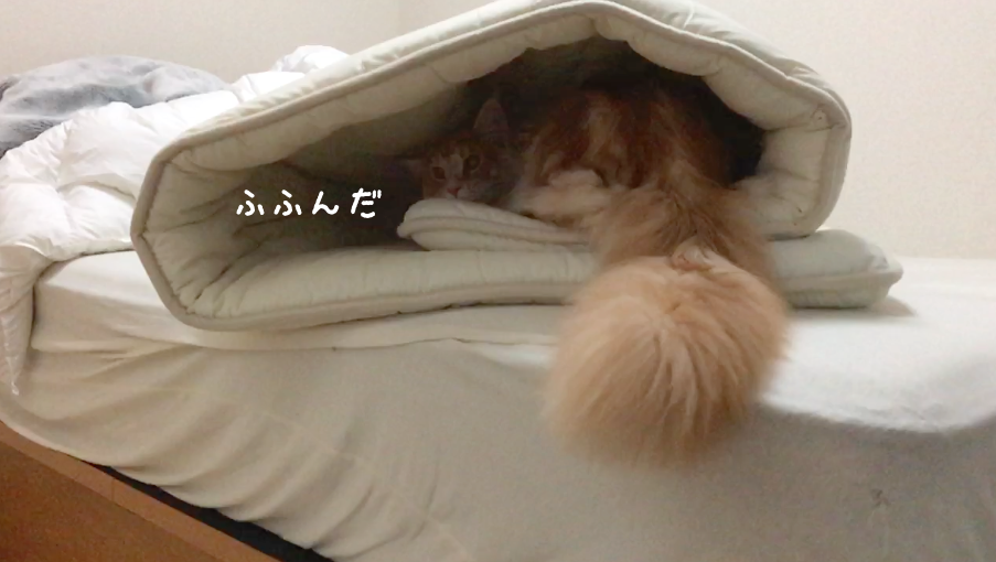 f:id:chikojirou:20180408220842p:plain