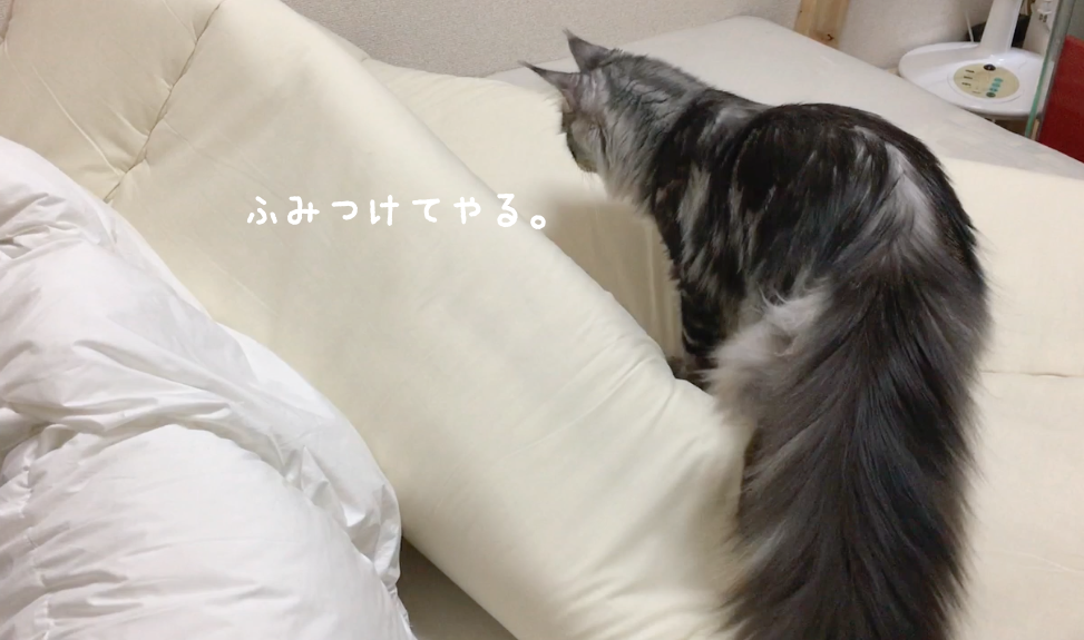 f:id:chikojirou:20180408220929p:plain