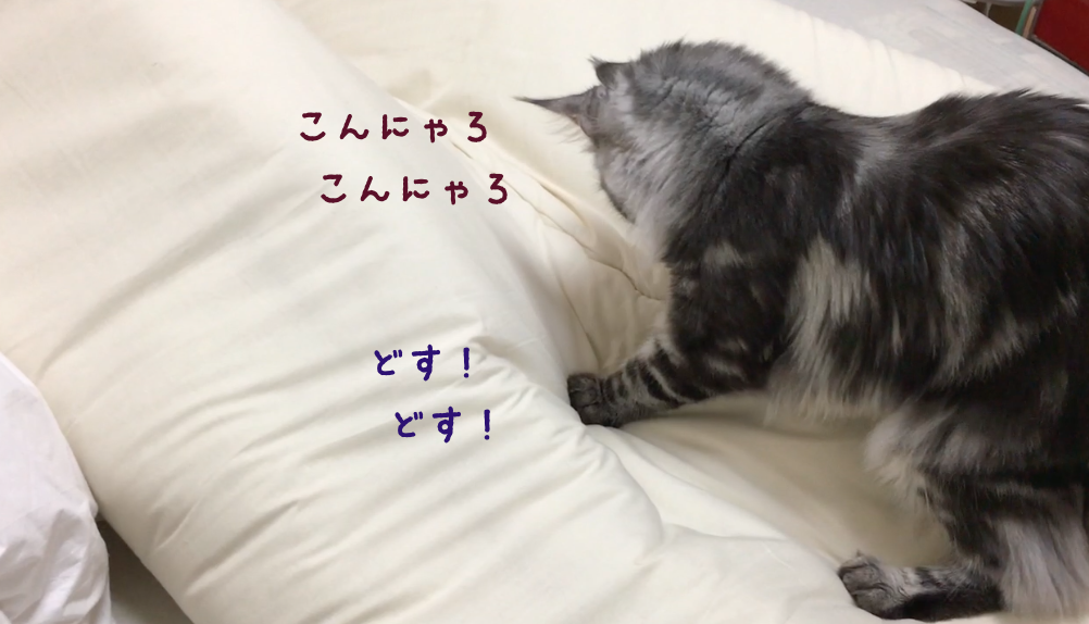 f:id:chikojirou:20180408221124p:plain