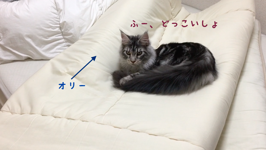 f:id:chikojirou:20180408221143p:plain