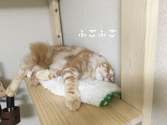 f:id:chikojirou:20180411214113j:plain
