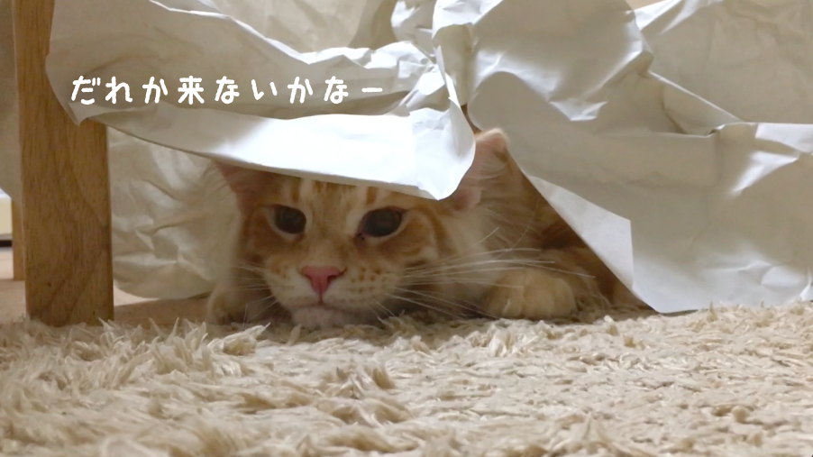 f:id:chikojirou:20180412215619p:plain